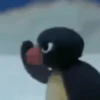Pingu animado 🐧 6