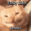 Estoy bién (creo)