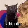 Ubícate