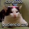 Cargando paciencia 2%