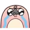 🤎Unfriendly Animals 2 MOV.🤎 20