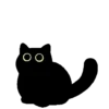 Gatito Negro 🐈‍⬛ 14