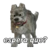 espera que?