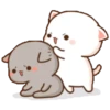 Kucing bucin 13