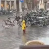 वर्षा - क्या वहाँ वर्षा हो रही है? 🌧️ 17
