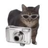 Memes Michis Random🐈‍⬛🐈🐾 17