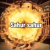 Tung tung sahur 6