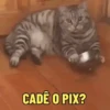 CADÊ O PIX?