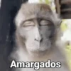 Amargados