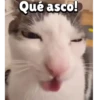 Qué asco!