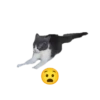 😸😽 Miau Miau 😽😸 10