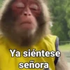 Ya siéntese señora