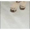 Cariñositos Bonitos 😻😻 14
