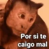 Por si te caigo mal