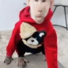 Monos y changuitos 🙈 5