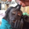 Relajao