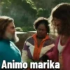 Animo marika