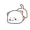 MOCHIS🐈CAT Especial V MOV 5
