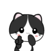 Baby Tuxedo Cat 2 .MOV 5