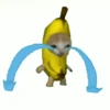 Gif kucing 6