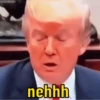 Trump 7
