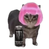 Memes Michis Random🐈‍⬛🐈🐾 12