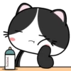 Baby Tuxedo Cat 2 .MOV 7
