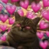 Reações de amor💞 9