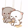 COMELL KUCING  6