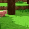 🧊MINECRAFT MIX🧊 5