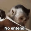No entendí