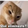 Qué eliminaste?!
