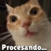Procesando...