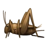Emojis Clásicos Animados 🐶🐈‍⬛ 13