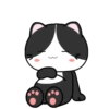 Baby Tuxedo Cat 2 .MOV 8