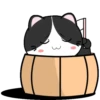 Baby Tuxedo Cat 2 .MOV 9
