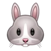 Emojis Clásicos Animados 🐶🐈‍⬛ 9