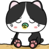 Baby Tuxedo Cat 2 .MOV 10