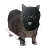 Memes Michis Random🐈‍⬛🐈🐾 10
