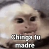 Chinga tu madre