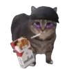 Memes Michis Random🐈‍⬛🐈🐾 7