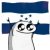 Flork psises 😃✨😍😎 8