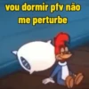vou dormir pfv não me perturbe