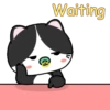 Baby Tuxedo Cat 2 .MOV 11