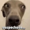 sospechoso....
