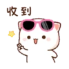 Kucing imut 14