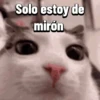 Solo estoy de mirón