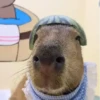 Capibara 🤎 5