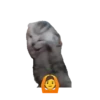 😸😽 Miau Miau 😽😸 9