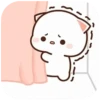 MOCHIS🐈CAT Especial V MOV 15